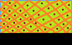 Tile for Memorial Sloan Kettering on 2026-05-20